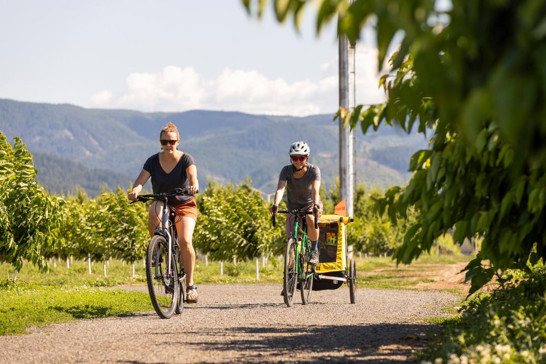 Location Image for Bee Bike Trailer - Double