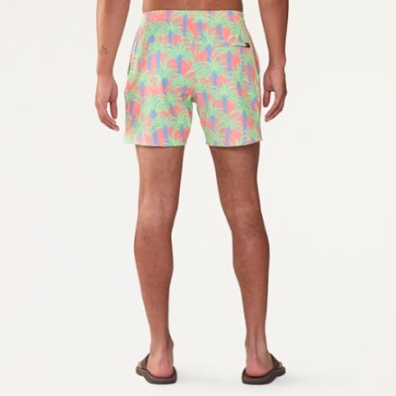 Chubbies Stretch 5.5" Lined Swim Trunks - Men's 2