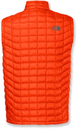 Back View (Seville Orange)