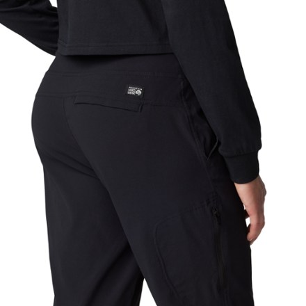 Mountain Hardwear Dynama Ankle Pants - Women's 10