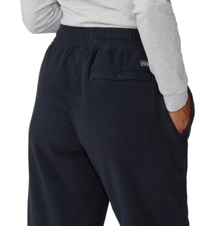 Mountain Hardwear Microchill Joggers - Women's 7