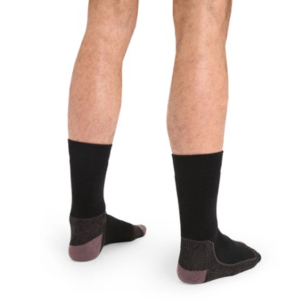 Icebreaker Hike+ Medium Crew Socks - Men's 1