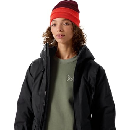 Arc'teryx Color Block Toque 4