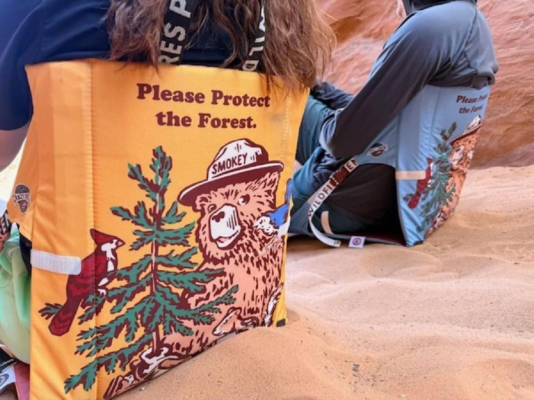 Location Image for Smokey Bear Original Chair