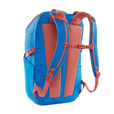 Patagonia Refugio 30 L Pack 1