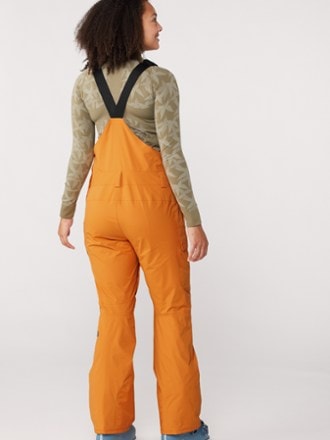 The North Face Freedom Bib Pants - Women's 2
