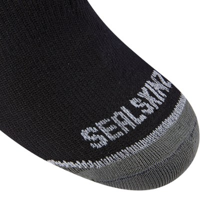 Sealskinz Thin Waterproof Socks REI Coop