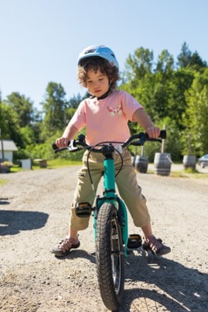 Location Image of color Coastal Green