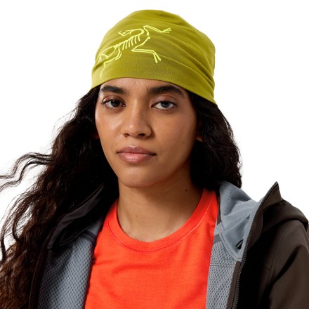 Arc'teryx Satoro Merino Toque 1