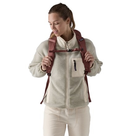Patagonia Black Hole Pack 32 L 2