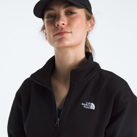 The North Face Evolution Quarter-Zip - Women's 1