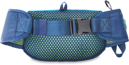 DAKINE Hot Laps 2L Waistpack | REI Co-op