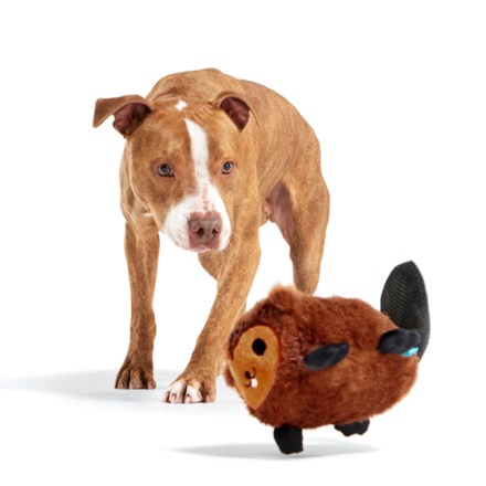 National Park Plush Dog Toy