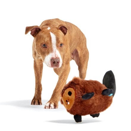 Bark National Park Plush Dog Toy 2