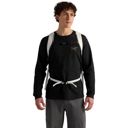 Arc'teryx Mantis 16 Pack 2