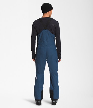 The North Face Freedom Bib Pants - Men's 1