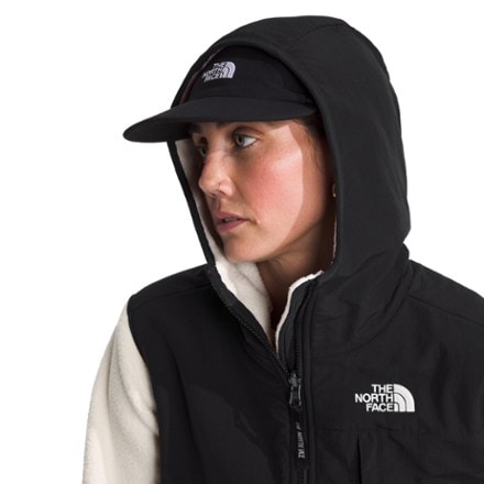 The North Face Retro Denali Hoodie - Women's 5