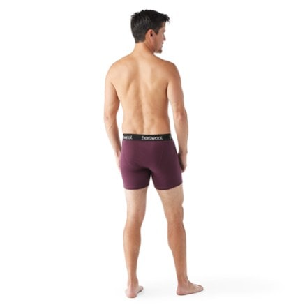 Smartwool Merino Boxer Briefs - Men's 3