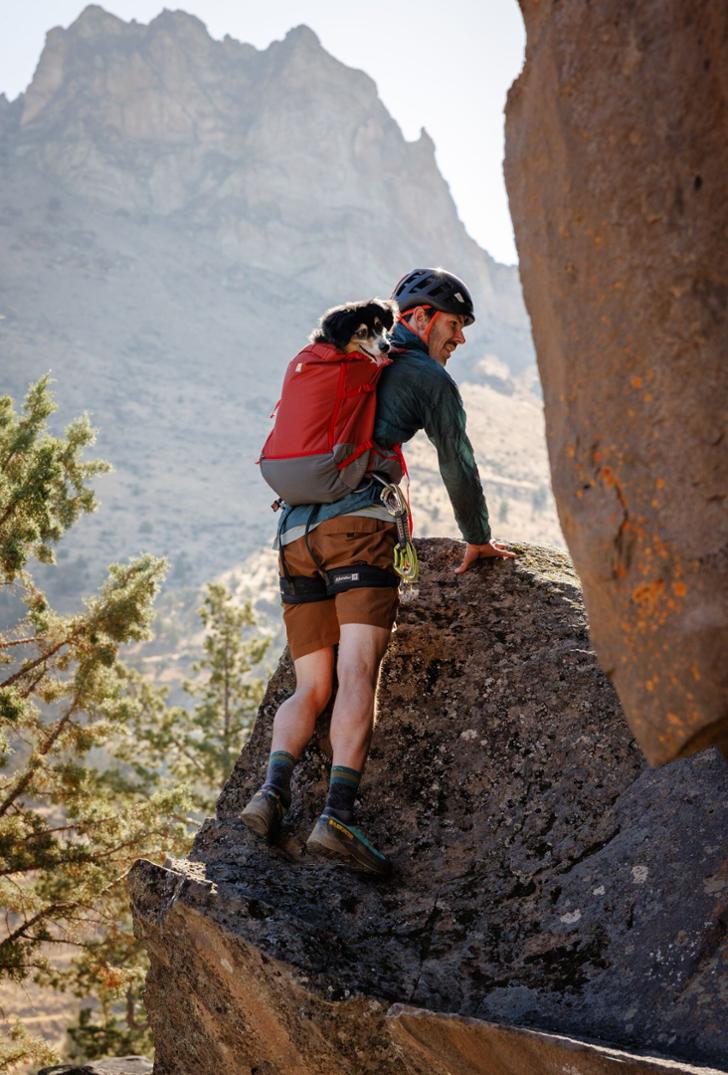 Location Image for Hitch Hiker Dog Pack Carrier