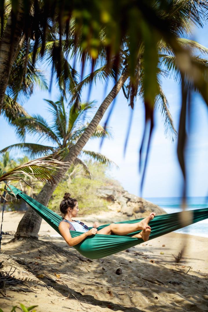 Location Image for TechNest Hammock