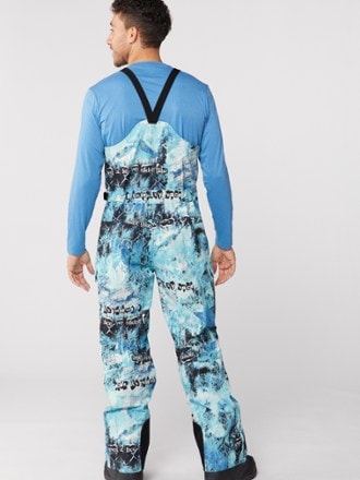 The North Face Printed Dragline Bib Pants - Men's 2