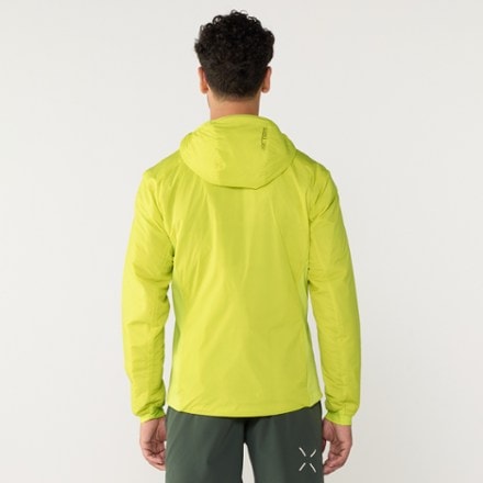 Arc'teryx Atom Insulated Hoody - Men's 2