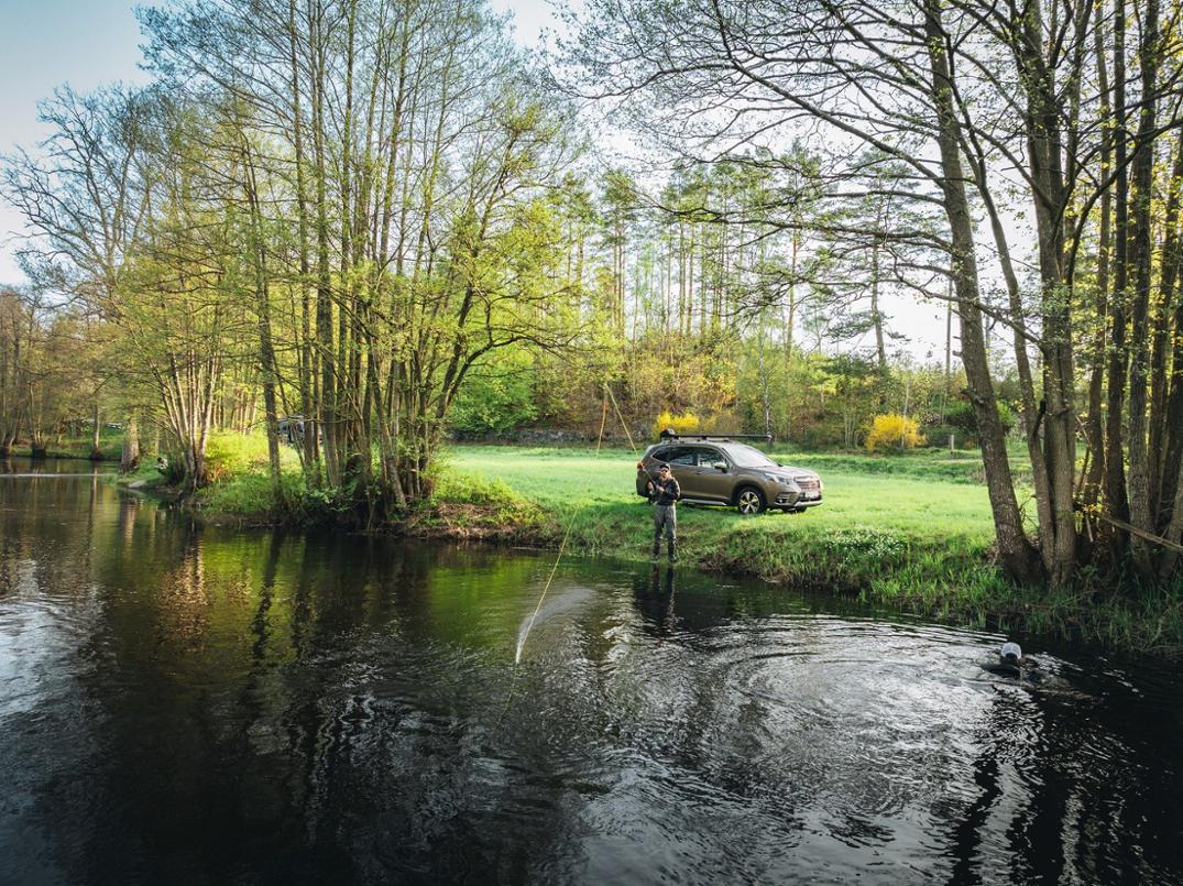 Location Image for RodVault 2 Fishing Rod Rack