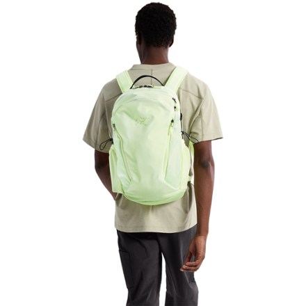 Arc'teryx Mantis 26 Pack | REI Co-op