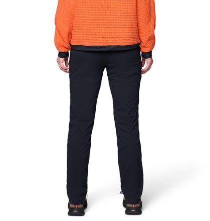 Mountain Hardwear Dynama Lined Pants - Women's 1