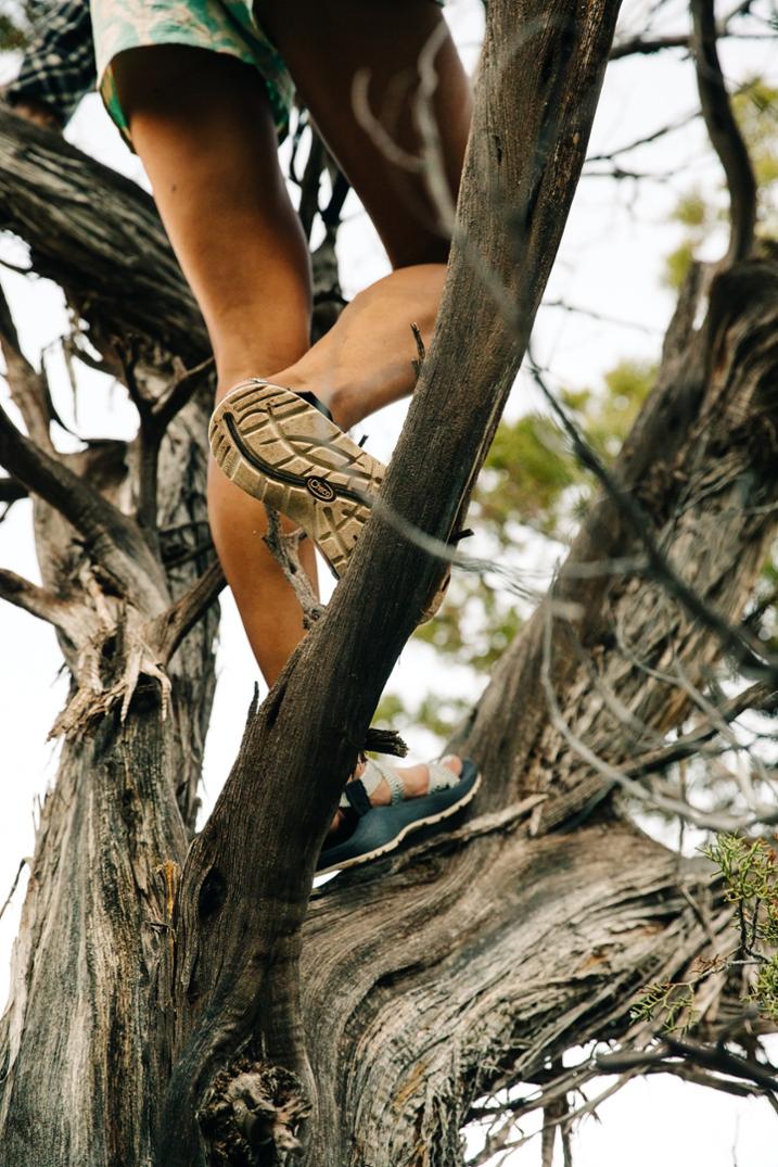 Location Image for Mega Z/Cloud Sandals - Women's