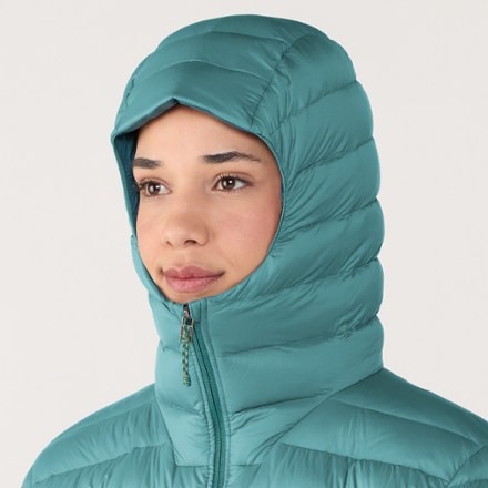 Patagonia Down Sweater Hoody - Men's 4