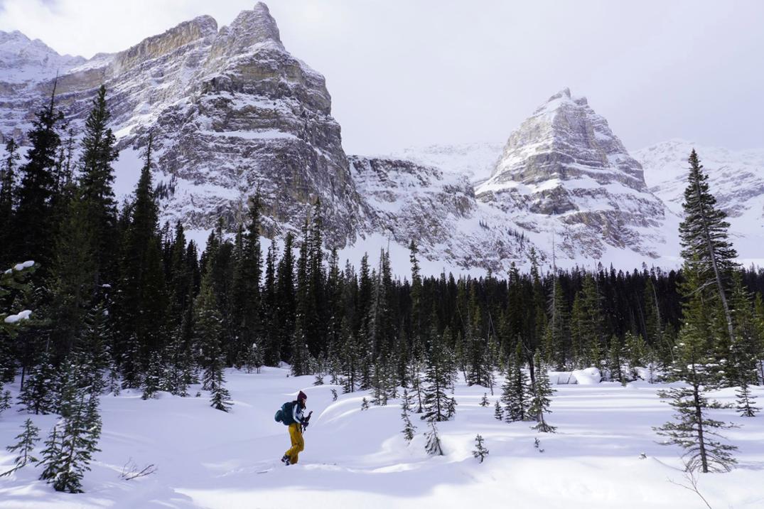 Location Image for Targhee 30 Snow Pack - Women's