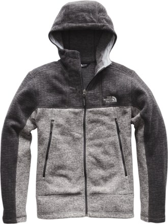 north face glacier alpine hoodie