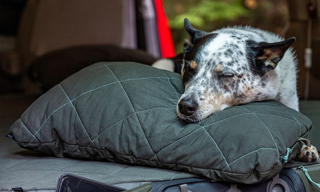 Location Image for LuxeWool Pillow