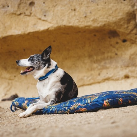 Ruffwear Basecamp Dog Bed 2