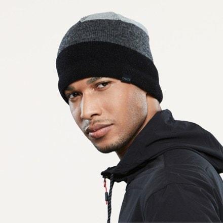 Chaos Listen 80/20 Wool Beanie 1