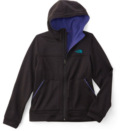 north face wakerly hoodie