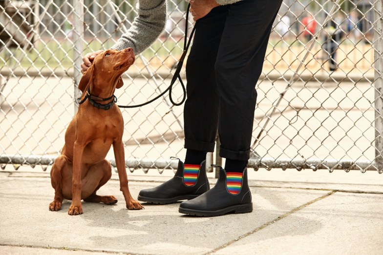 Location Image of color Black/Rainbow