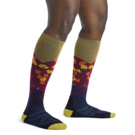 Darn Tough Enchanted Over-the-Calf Midweight Ski and Snowboard Socks - Women's 2