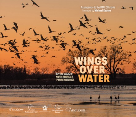 Wings Over Water REI Coop
