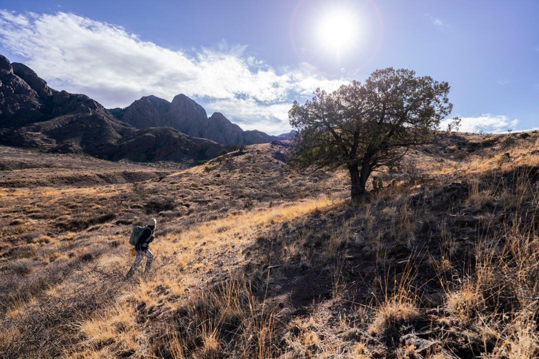 Location Image for Montana 710i