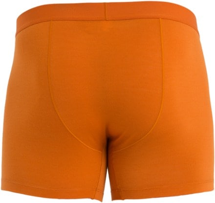 Icebreaker Anatomica Cool-Lite Boxers - Men's 3