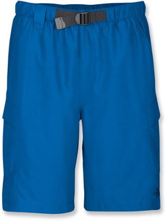 mens cargo shorts north face