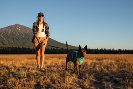 Ruffwear Front Range Dog Harness 6