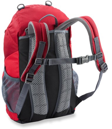 back (Raspberry/Check)