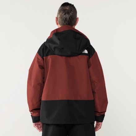The North Face GTX Hex Jacket - Men's 2