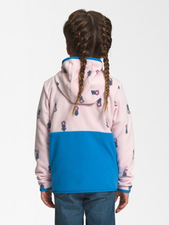 The North Face Glacier Full-Zip Hoodie - Toddlers' 1