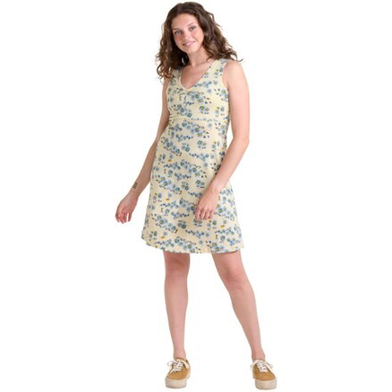 Toad&Co Rosemarie Sleeveless Dress 2