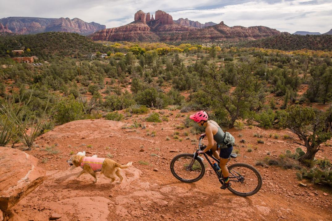 Location Image for Swamp Cooler Zip Dog Vest
