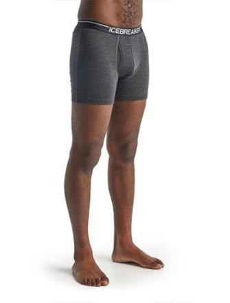 Icebreaker Anatomica Boxer Briefs with Fly - Men's 2